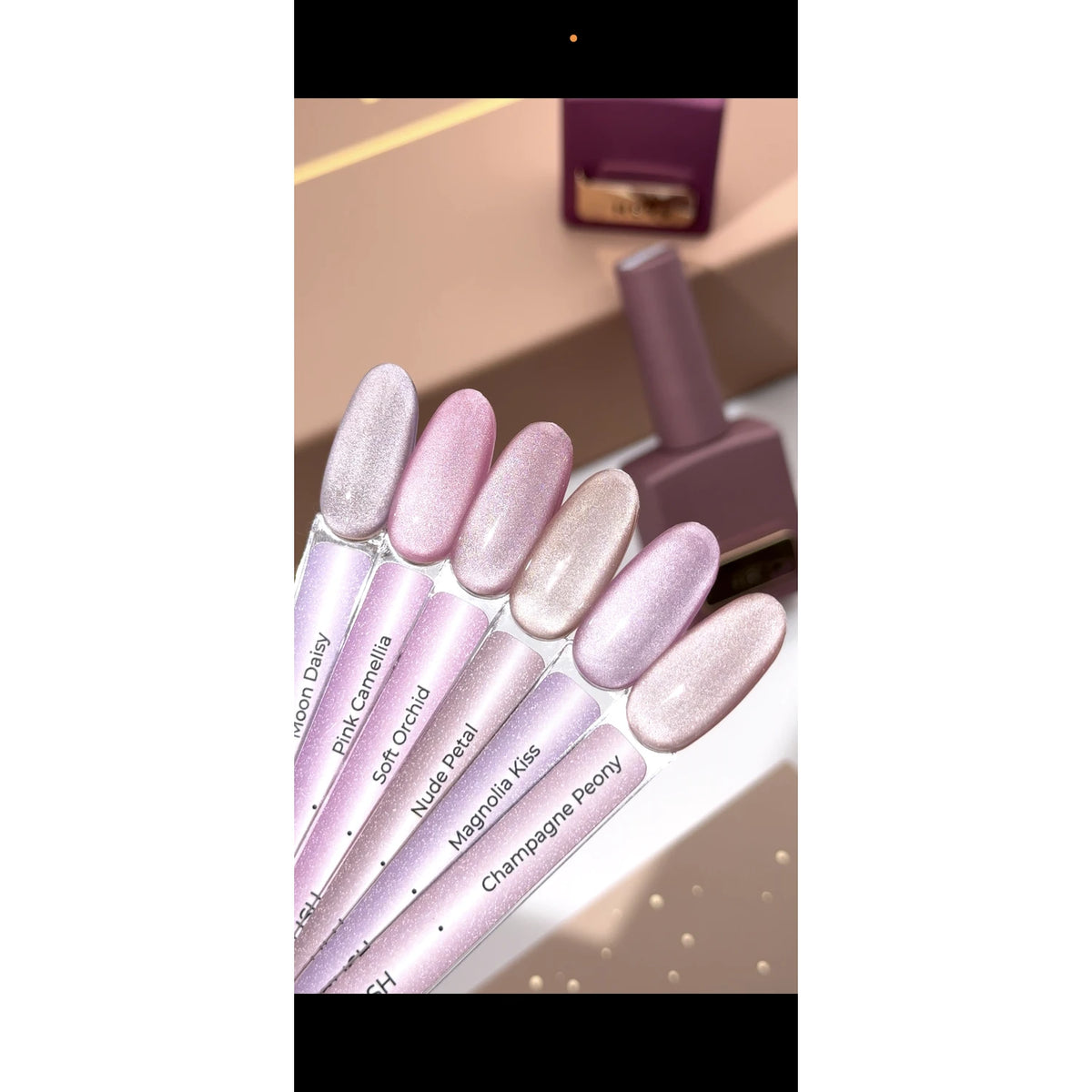 HEYLOVE Cat's Eye Gel Polish PETAL VEIL collection – product photo