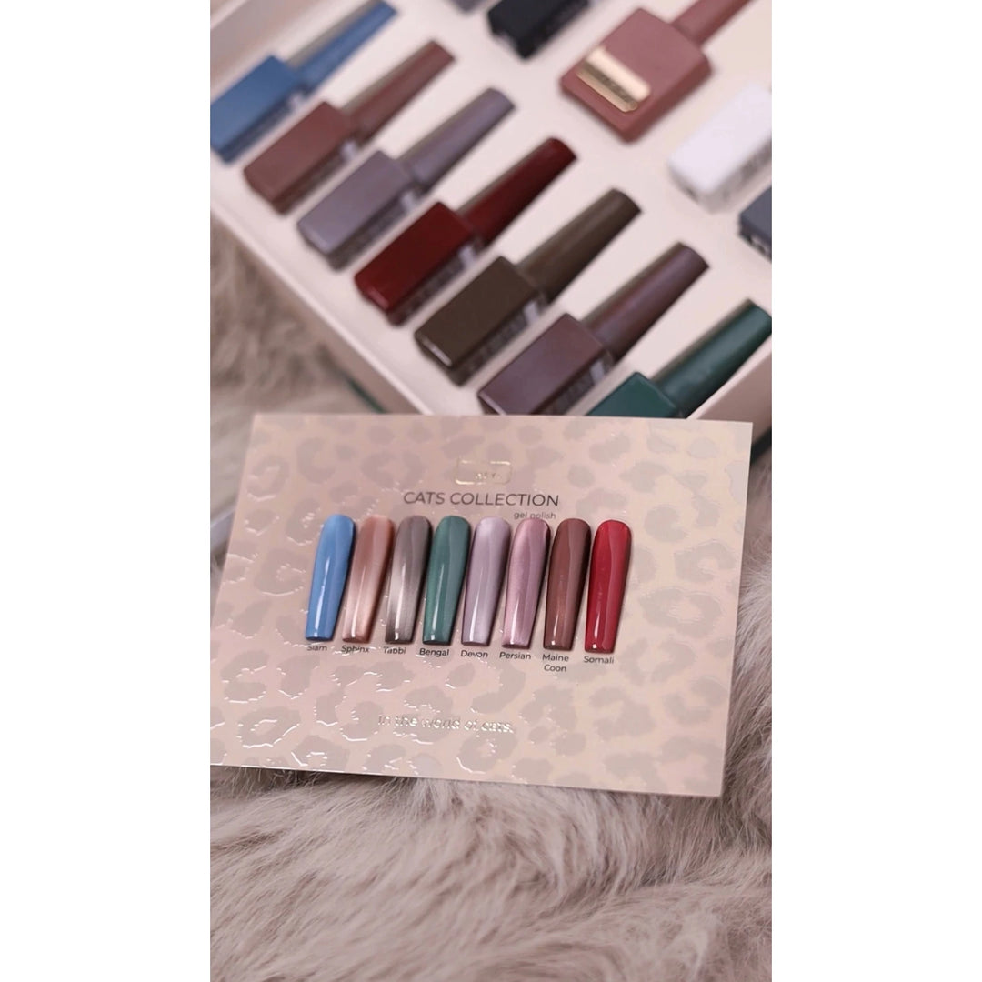 HEYLOVE Cat& - Photo №5