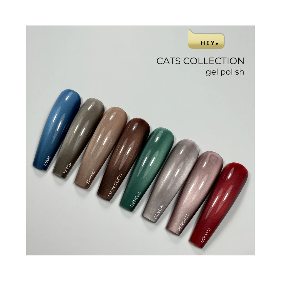 HEYLOVE Cat& - Photo №6